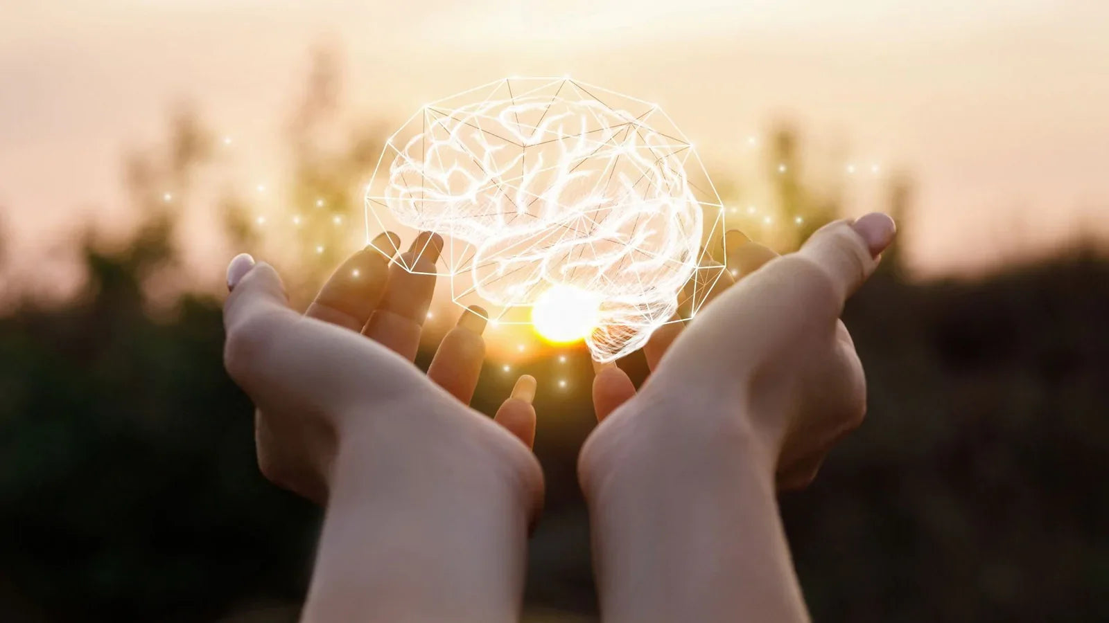 MENTAL ACUITY