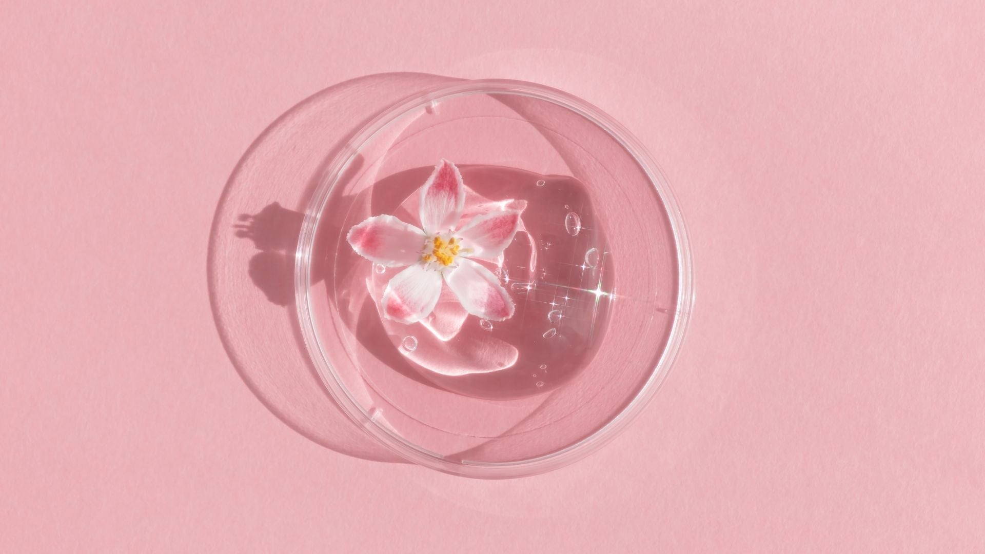 Skin Anti-Aging: Benefits of Elastin, Copper, and Hyaluronic Acid