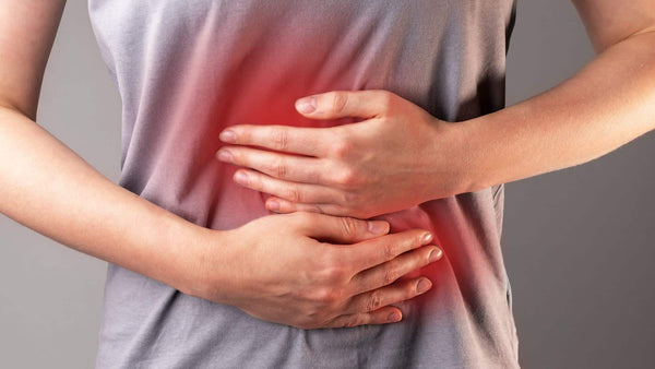 What is the Gut-Brain Connection - Can Probiotics Really Help Ease My Queasy Stomach?