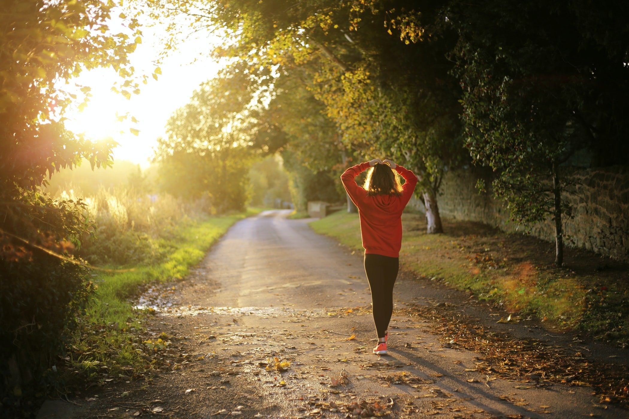 Quercetin Supplements