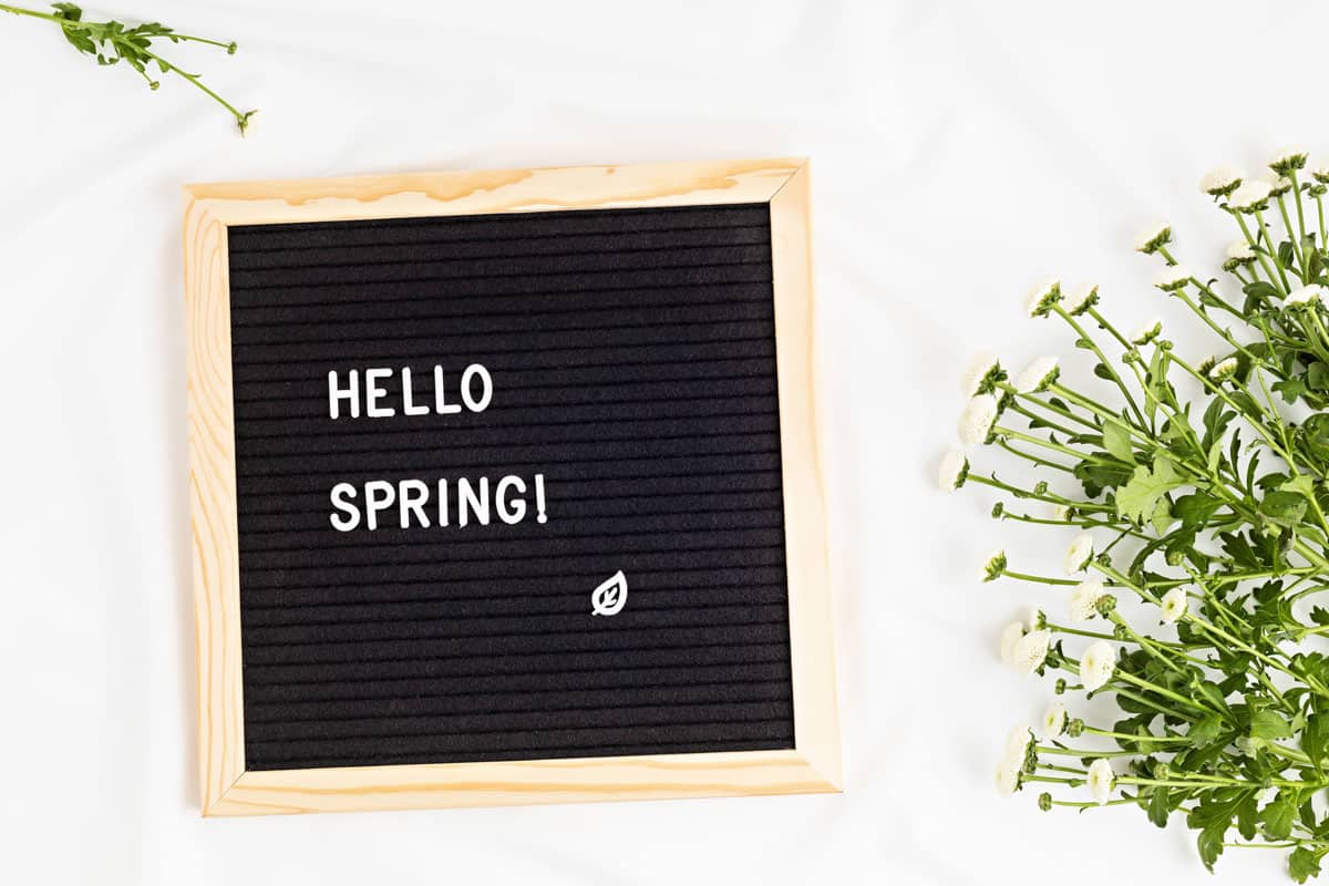 Spring Clean Your Mind, Body & Home