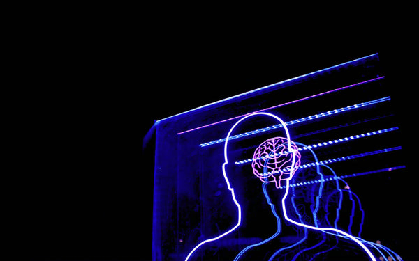 NEUROGENESIS AND COGNITIVE ENHANCEMENT SUPPLEMENTS
