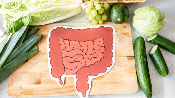 Connection Between Immune System Health and Gut Microbiome