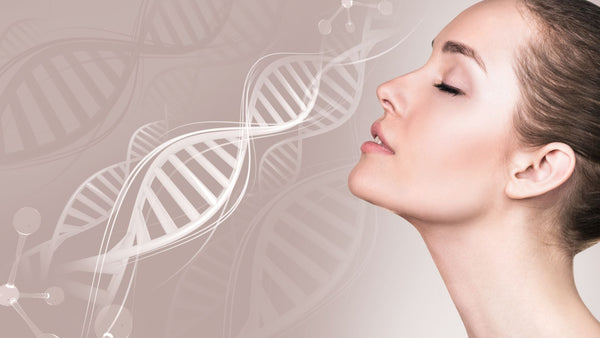 Folate and DNA Methylation
