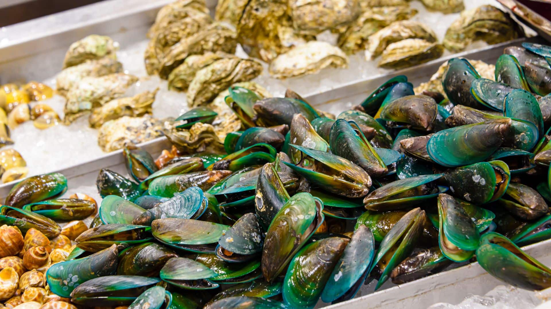 Diving Deep: Green-Lipped Mussels and Their Many Benefits – Body Kitchen