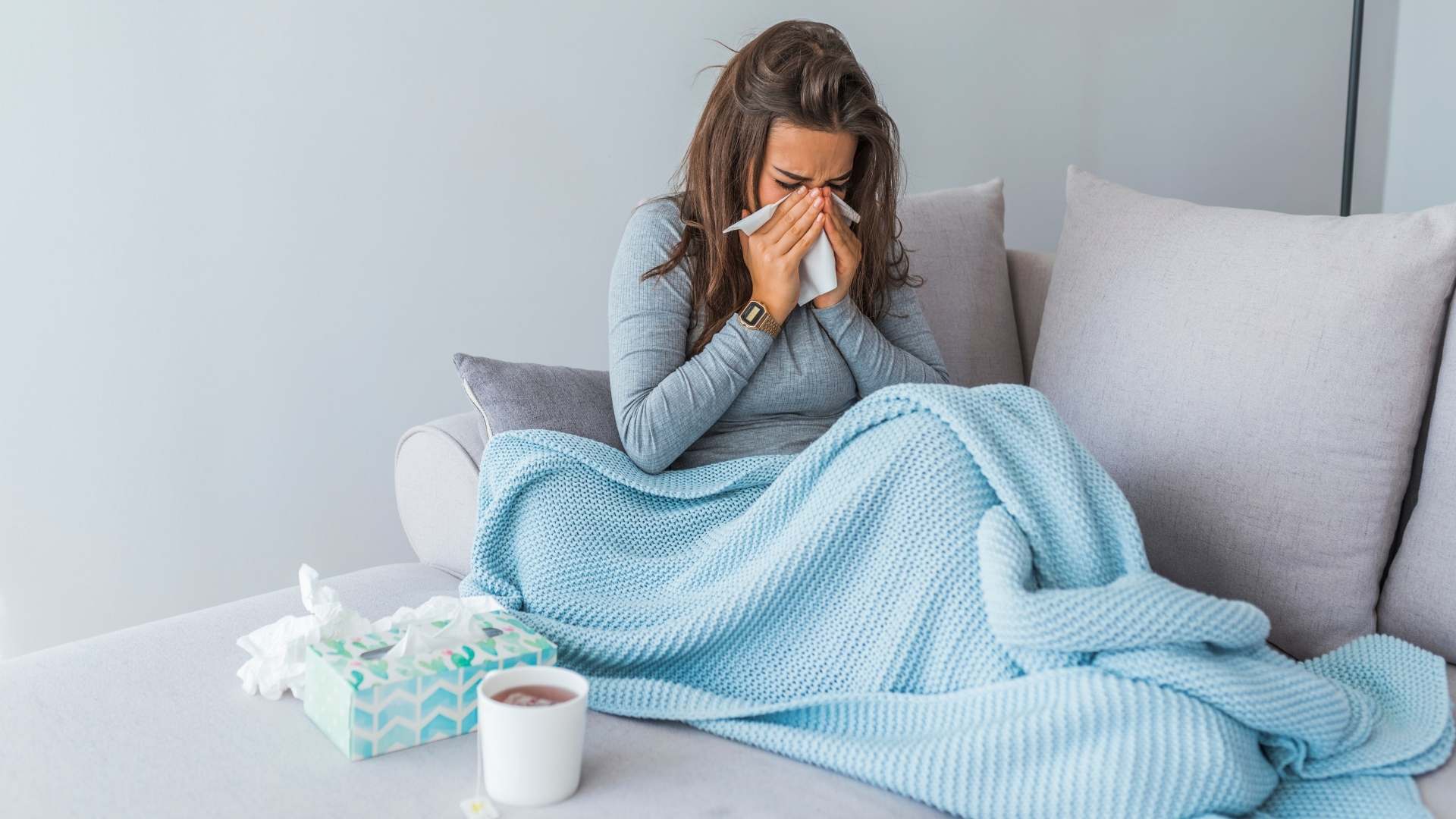 Holiday Season 2022 and Immune System Health