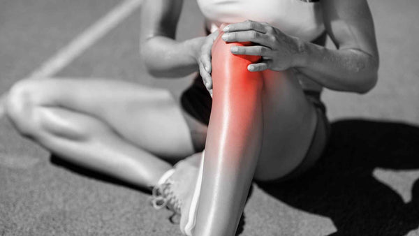 Support Joint Function and Healthy Inflammatory Response