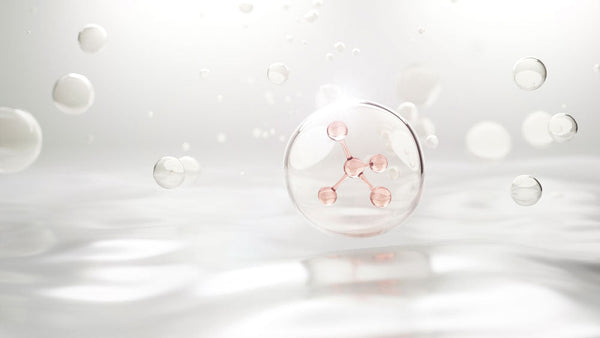 The Science Behind Peptide Absorption: Why Size Matters