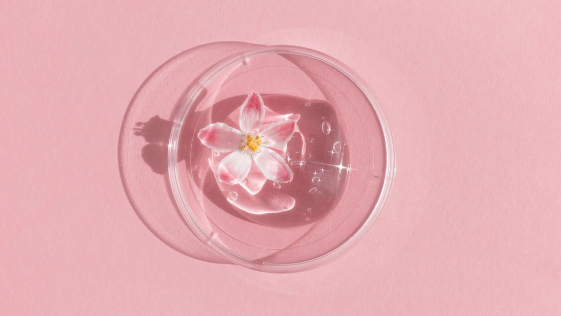 Skin Anti-Aging: Benefits of Elastin, Copper, and Hyaluronic Acid