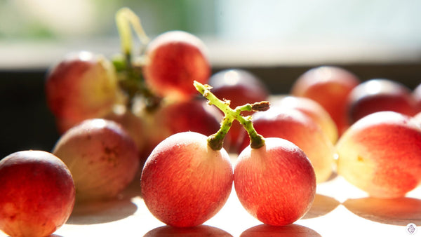 The Role of Resveratrol in Anti-Aging