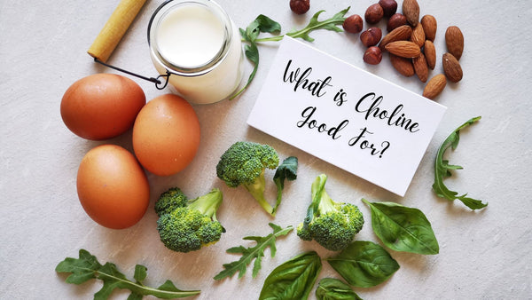 What is Choline Good For?