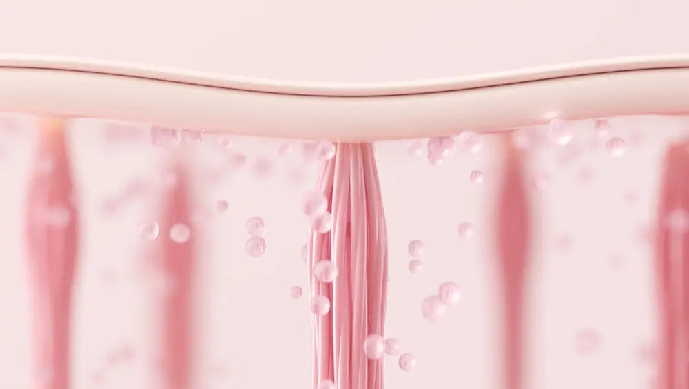 The Truth About Skin Thickness and Aging