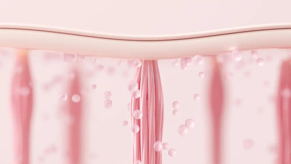 The Truth About Skin Thickness and Aging