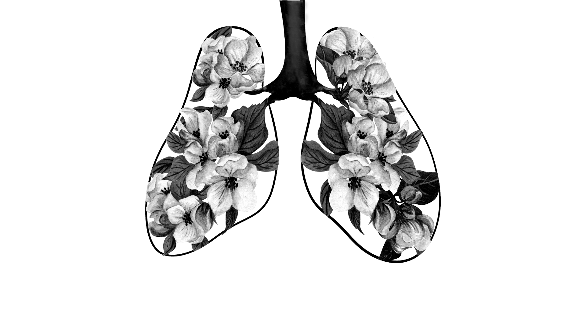Elastin and Lung Health