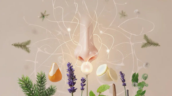 The Hidden Power of Smell