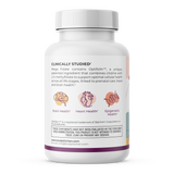 Mega Folate Plus
