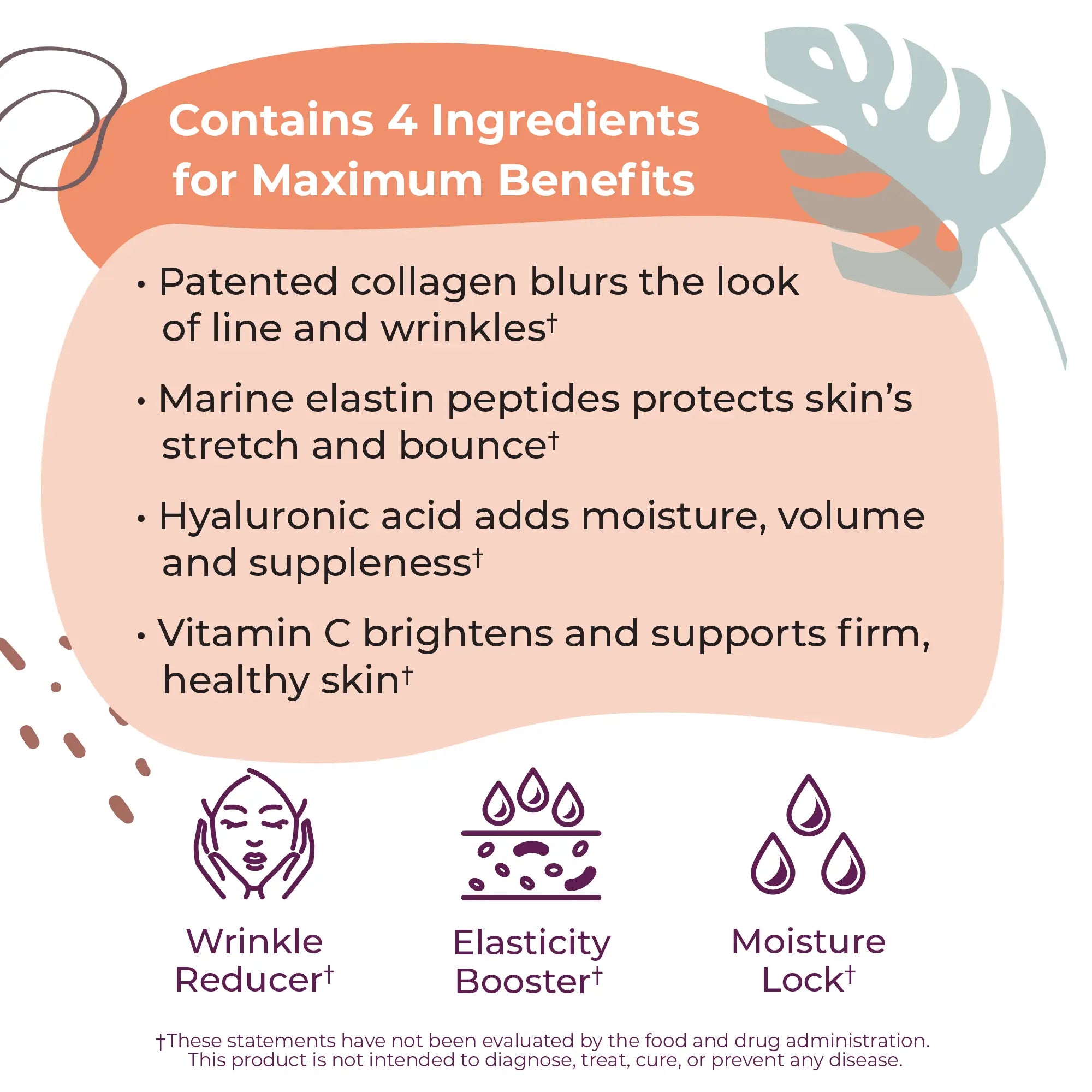 Collagen + Elastin Peptides Powder