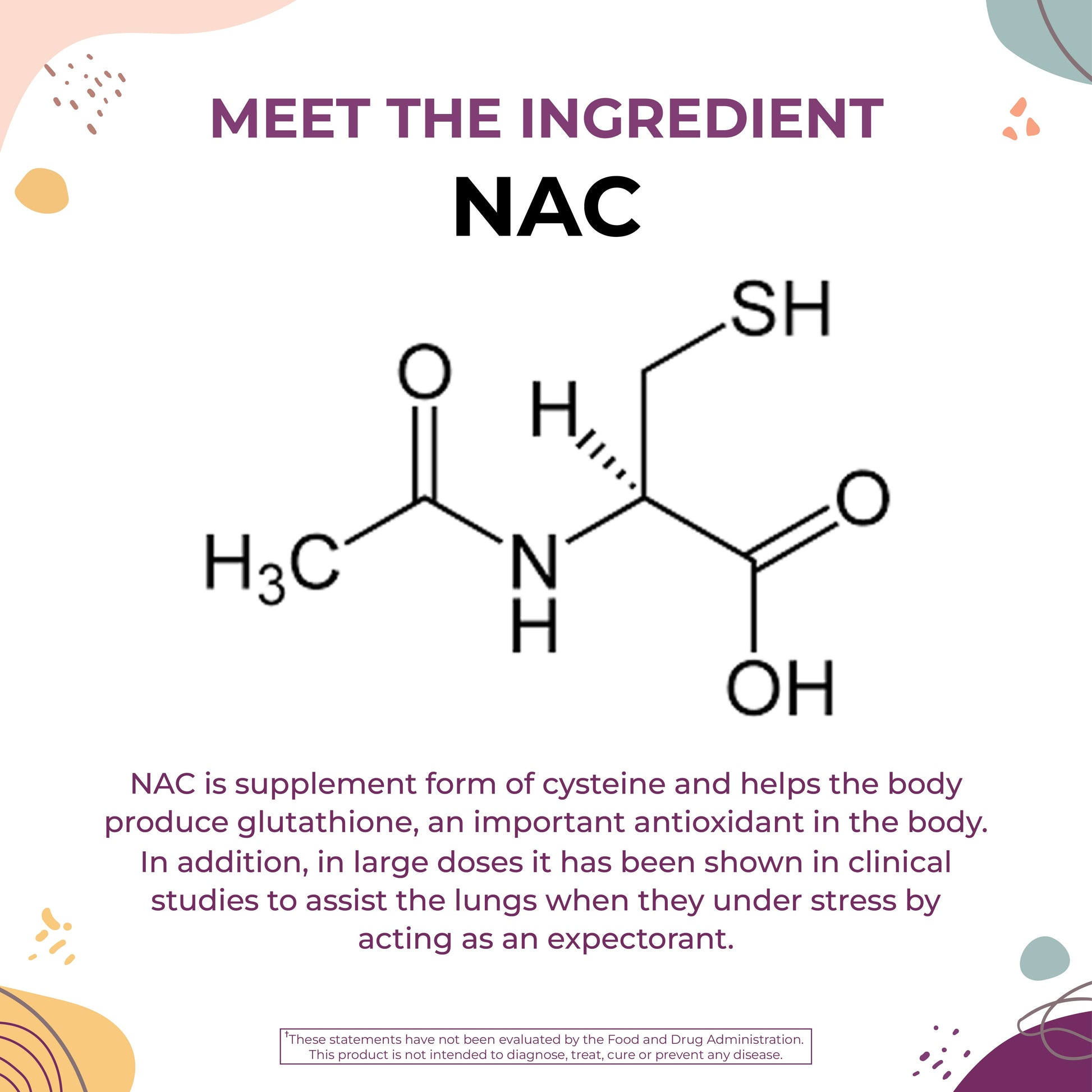 Mega NAC + Quercetin - 1 Bottle