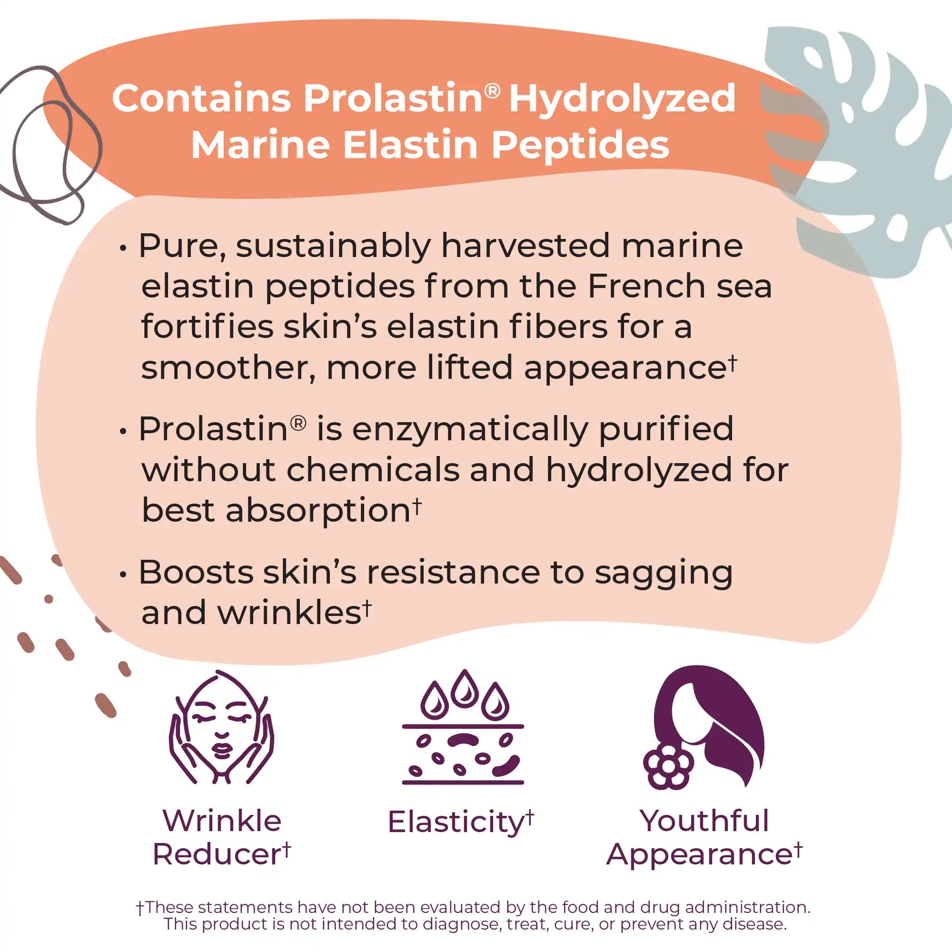 pro elastin peptides 1000mg of marine elastin
