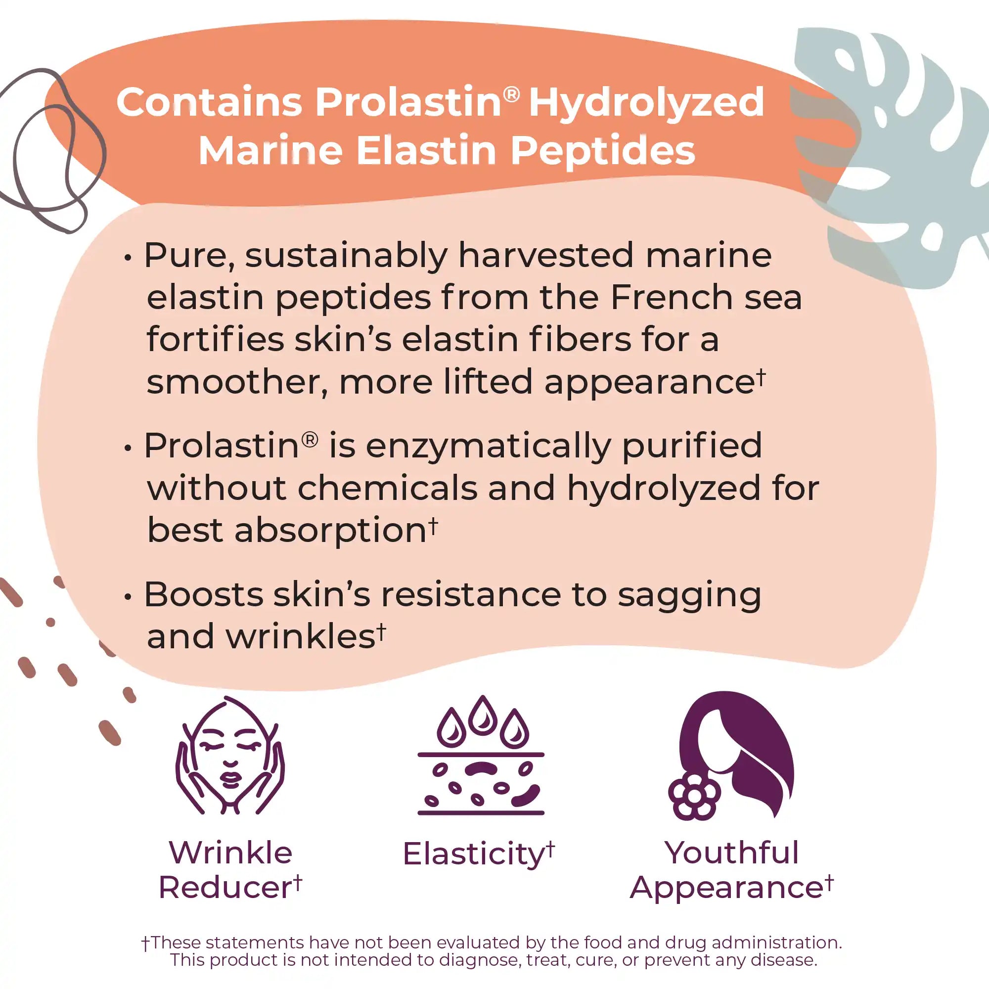 pro elastin peptides 1000mg of marine elastin