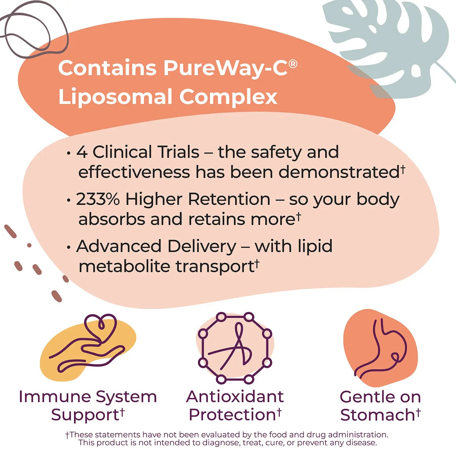 Product label with PureWay-C Liposomal Complex features and benefits on a light background.