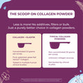 Collagen + Elastin Peptides Powder - Two Bottles